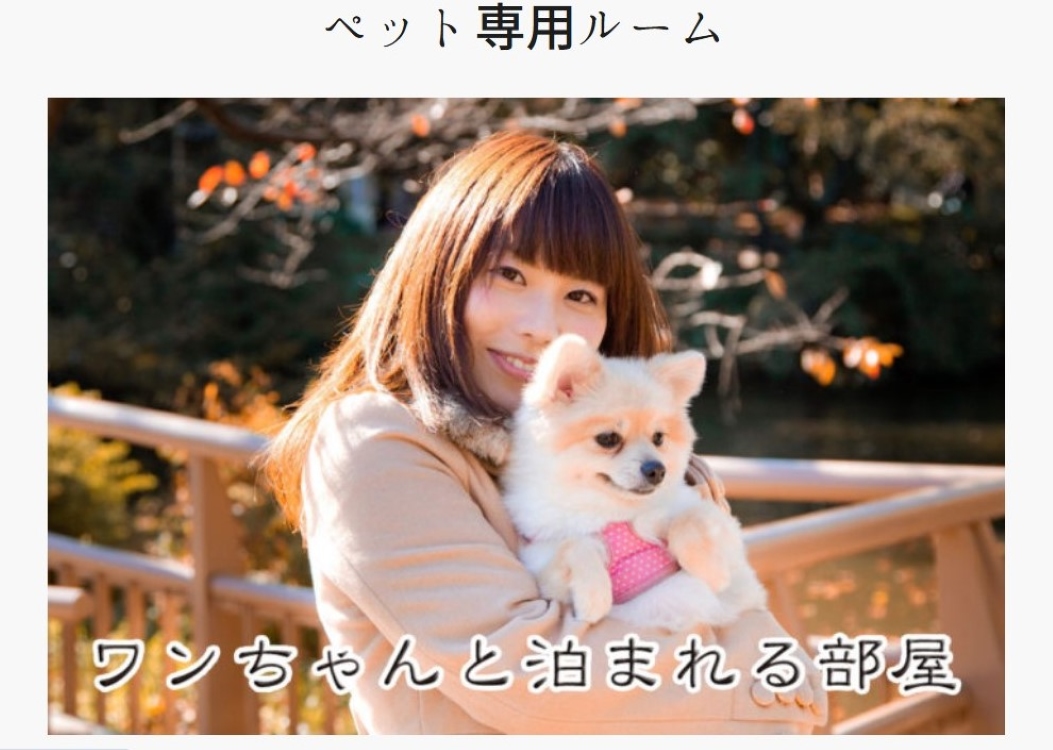 ペットプラン　～愛犬との楽しい素敵な思い出を♪♪