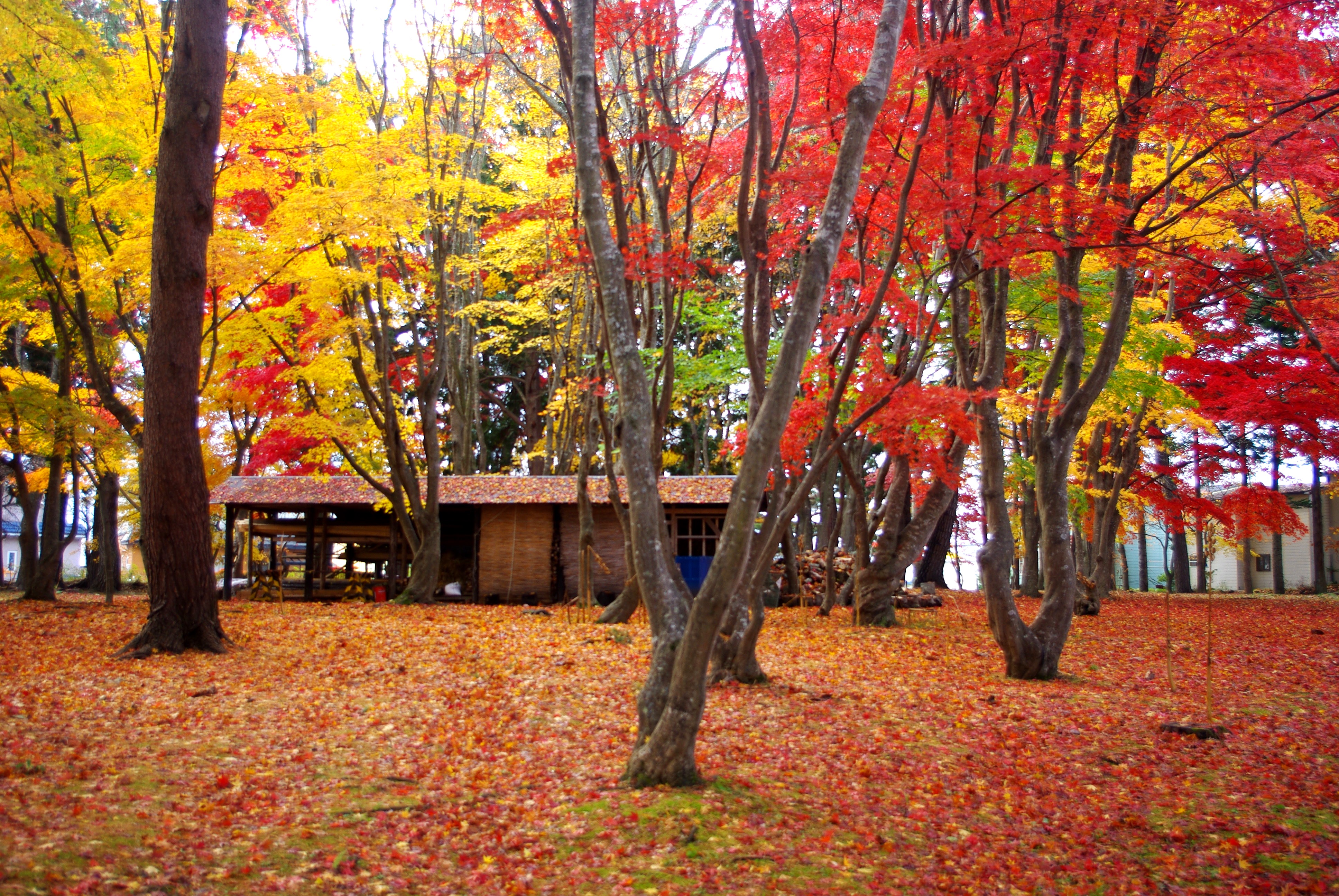 湯の川温泉　ホテル雨宮館 - 写真 62