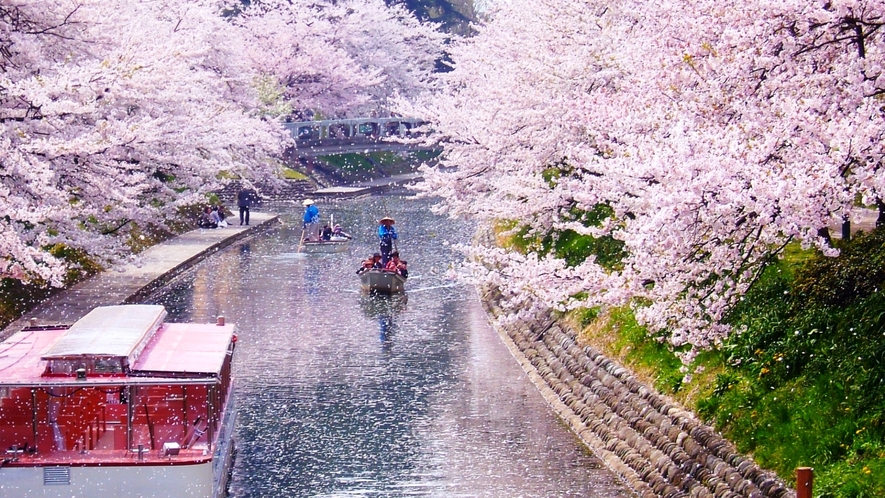 【周辺観光】遊覧船も楽しめる、桜の名所松川（車で12分）