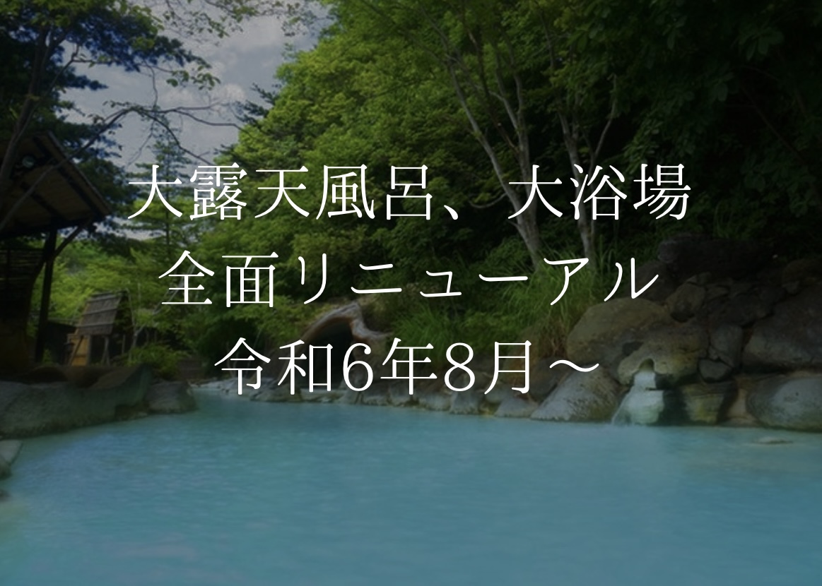 【温泉を満喫！！お手軽素泊まりプラン】★全国屈指の薬湯でリラックス★