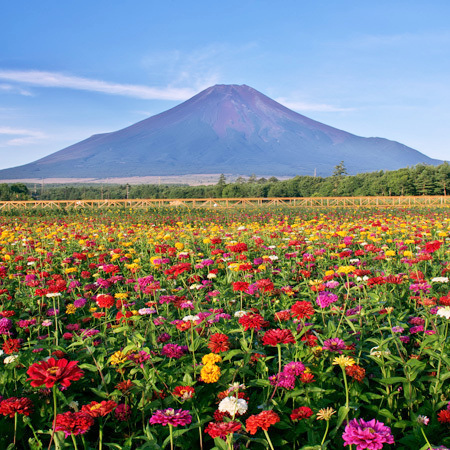 山梨ワインと家庭料理 ホテルベル鐘山 - 写真 97