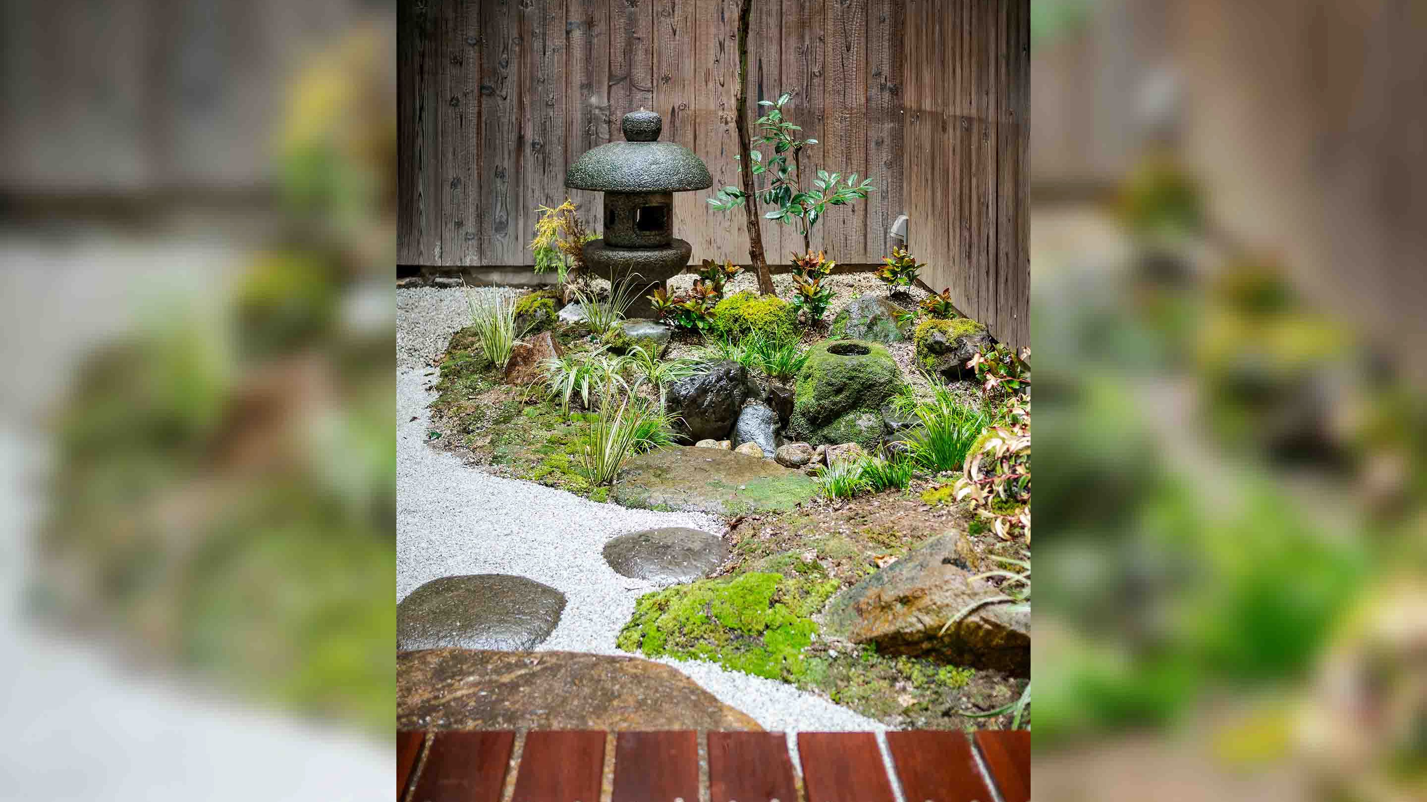坪庭