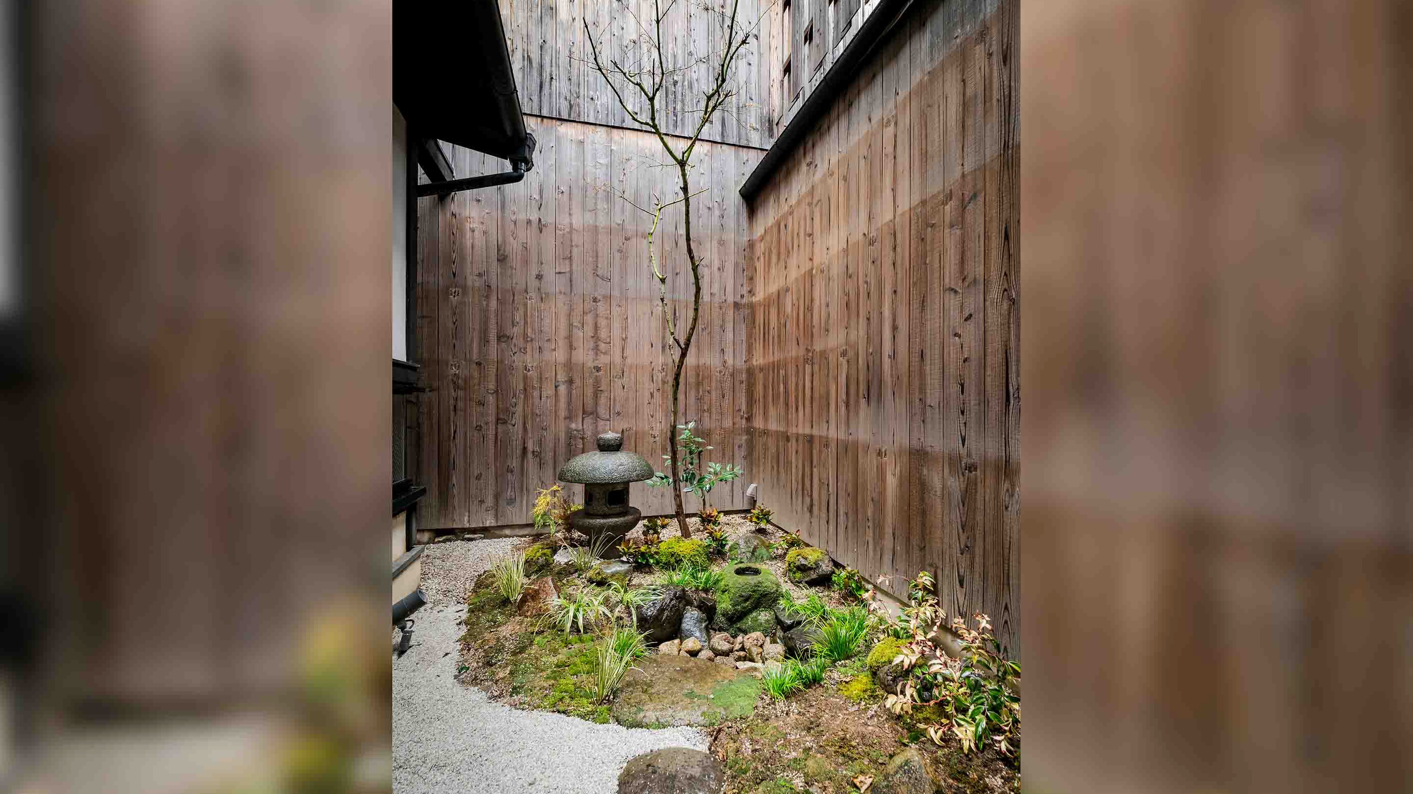 坪庭