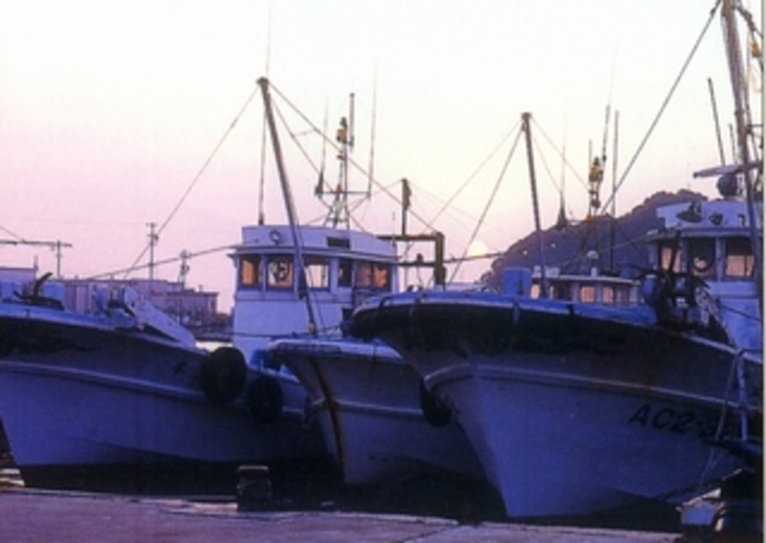 篠島の漁船