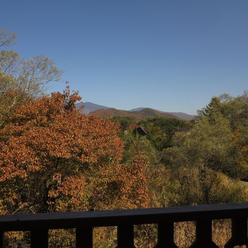 Today's view from the VIP room (Autumn)