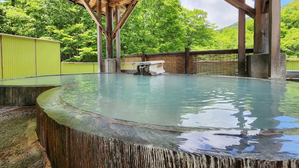 【2食付】1日2組限定《ペット同伴ＯＫ》源泉かけ流しの大パノラマ露天と手作り田舎料理