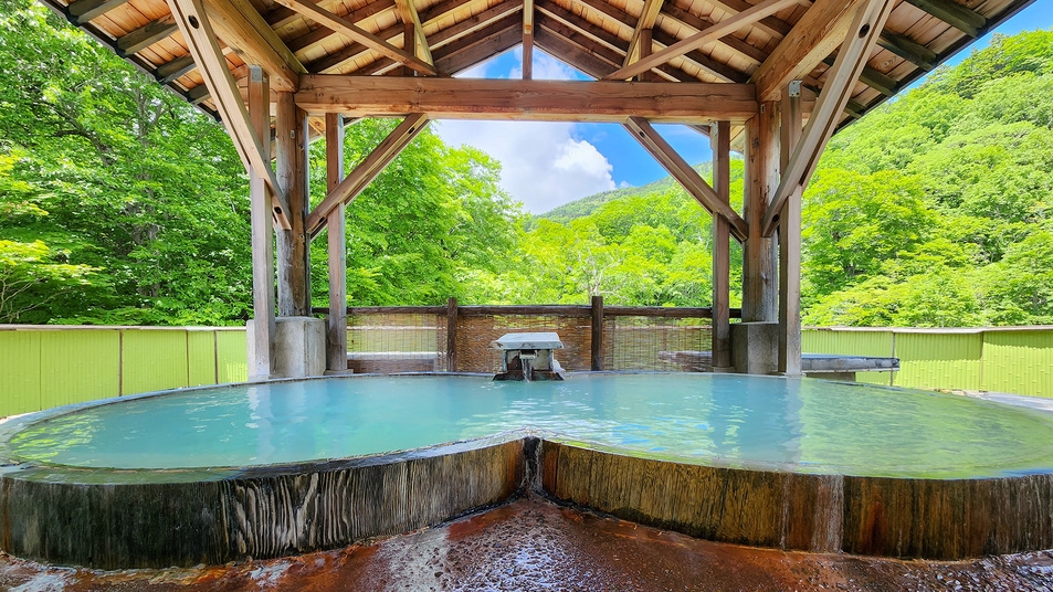 【2食付】標高1，300ｍで神秘の秘湯体験！源泉かけ流しの大パノラマ露天と手作り田舎料理が自慢☆