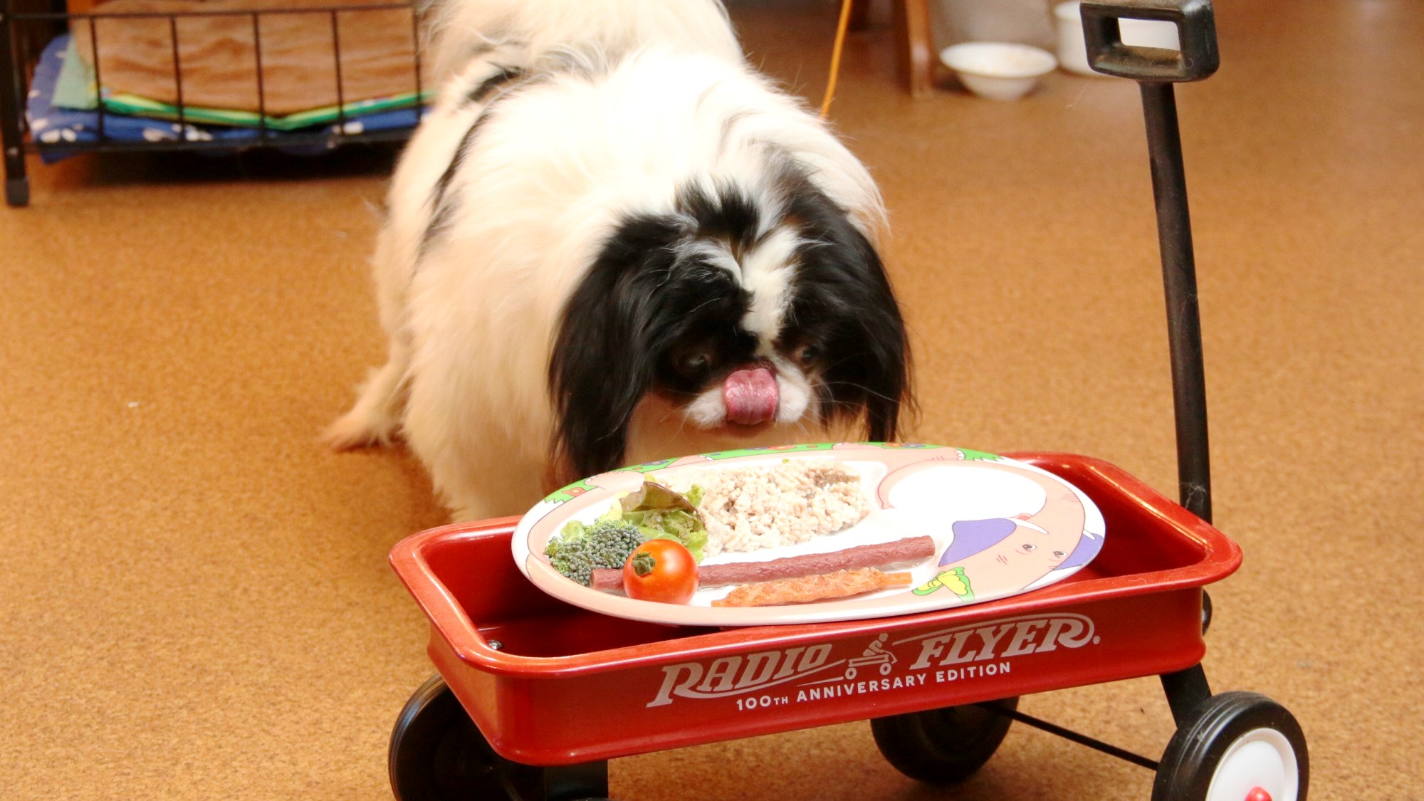 【料理】犬用ごはん