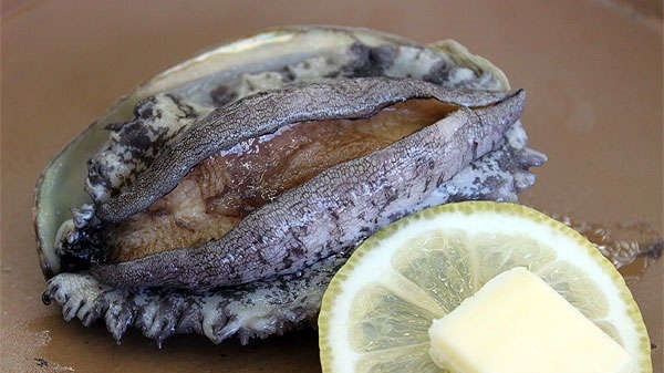 日頃の感謝を込めて お得に愉しむ鮑踊り焼きの付いた会席プランをご用意♪♪