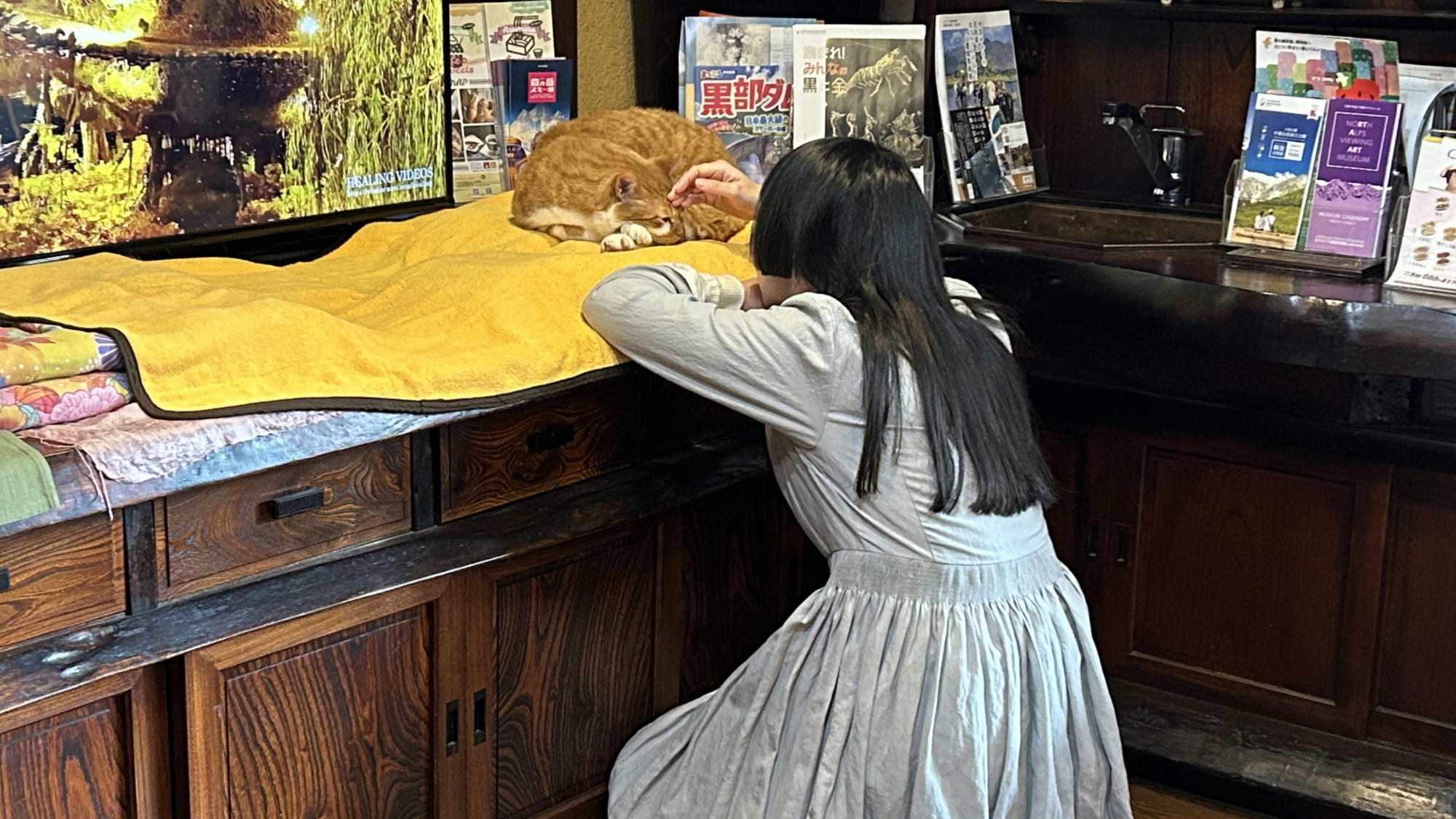 人懐っこい看板猫こんたとふれあいませんか？