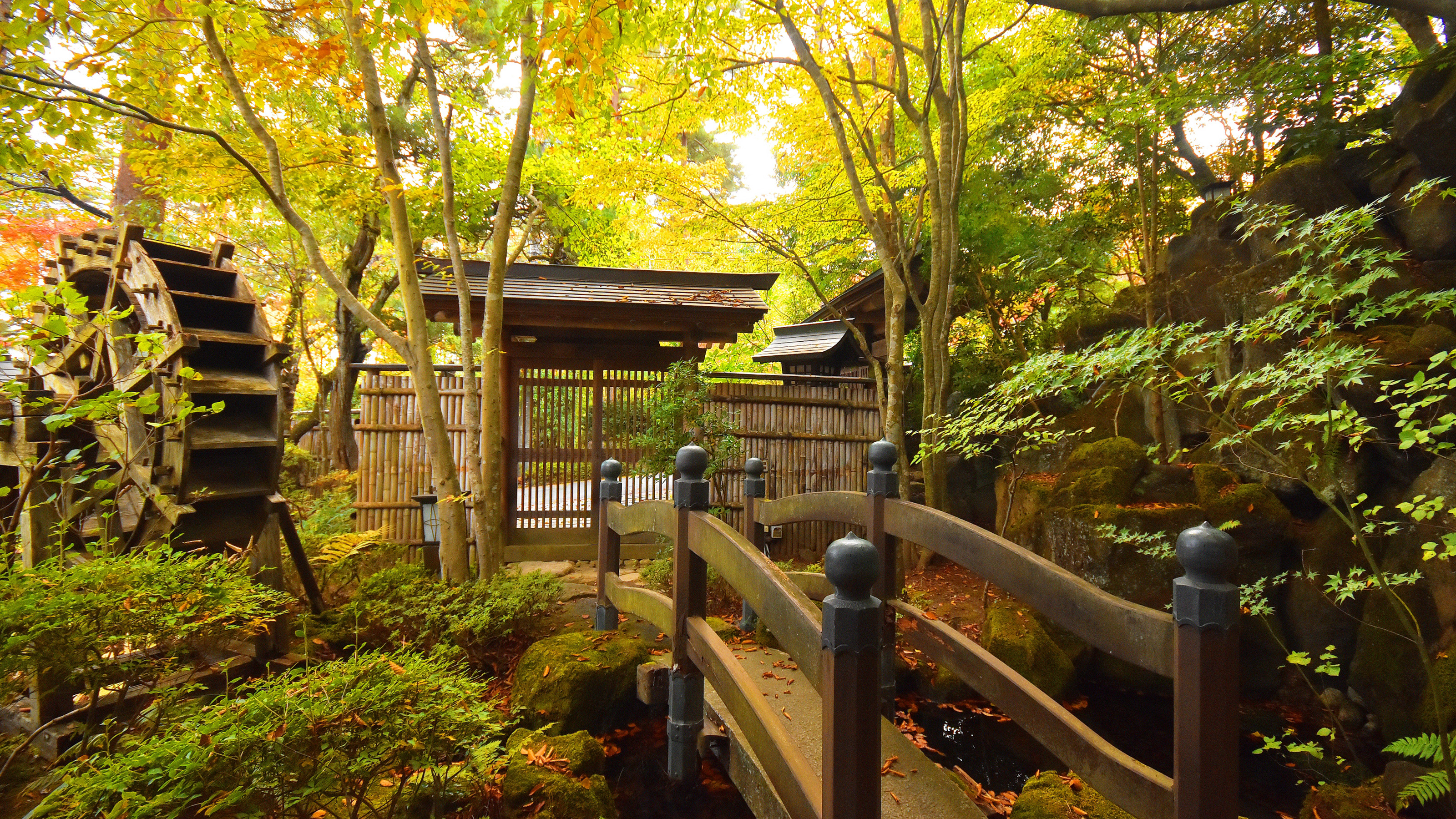 【客室】自然に親しむ特別室「有明御殿」の専用庭園。それぞれに色づく樹々を愛でる。