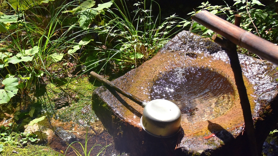 【館内】新緑の樹々がいきいきと輝く穂高城の庭園。ゆったりと散策したい。