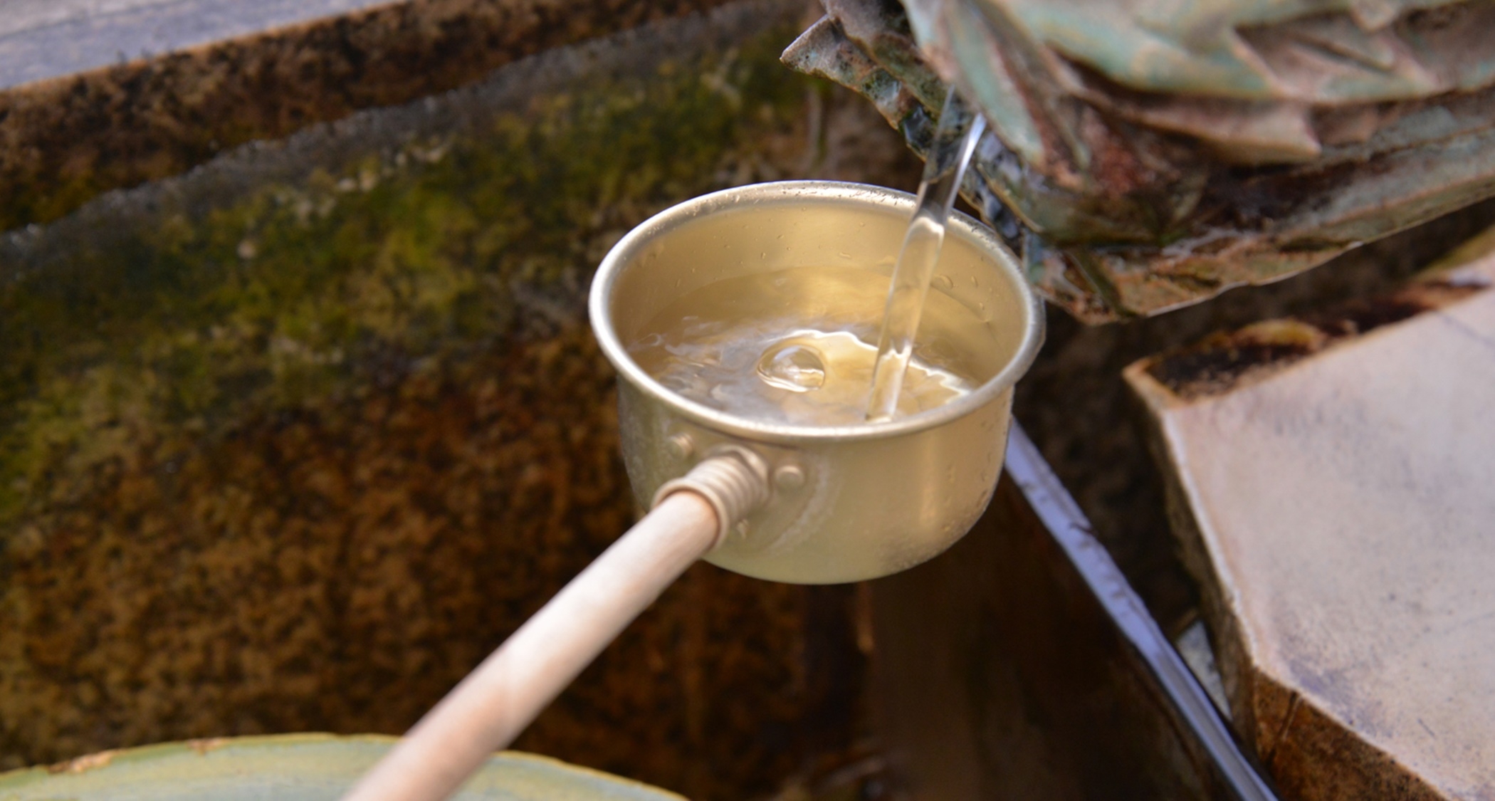 【20％OFF】【楽天スーパーSALE】◆那須三元豚の豆乳しゃぶしゃぶ＆乳白色の硫黄泉露天風呂