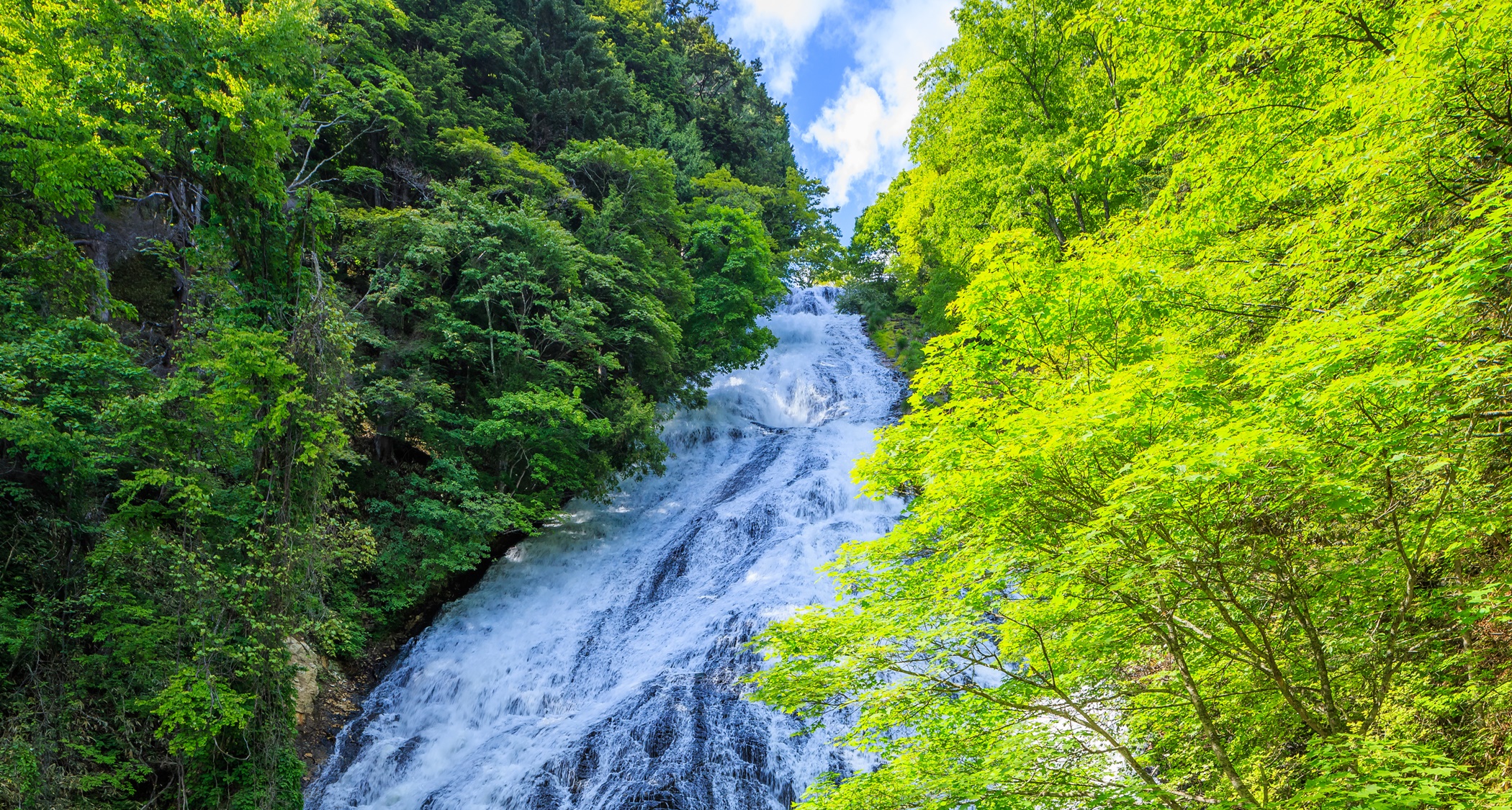 *【夏】湯滝