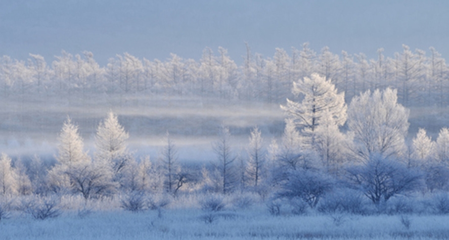 *【冬】戦場ヶ原│幻想的な雪景色 