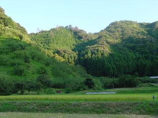 田園風景（西へ２００メートル）