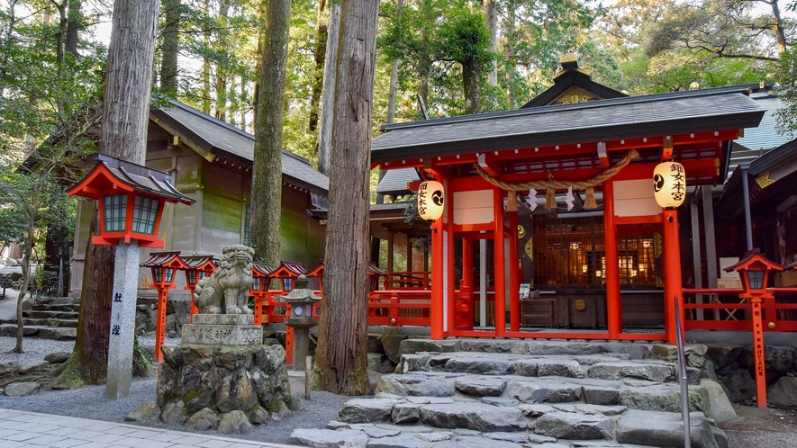 【*椿大神社】当館から車で30分。パワースポットとして有名で、荘厳な雰囲気