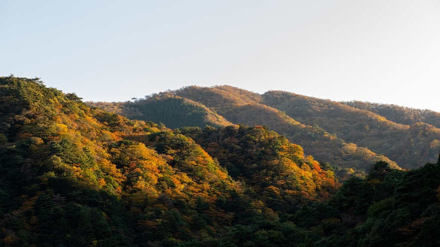 *【御在所ロープウェイ】当館から車で3分。秋は10月中旬から11月下旬まで紅葉が楽しめます。