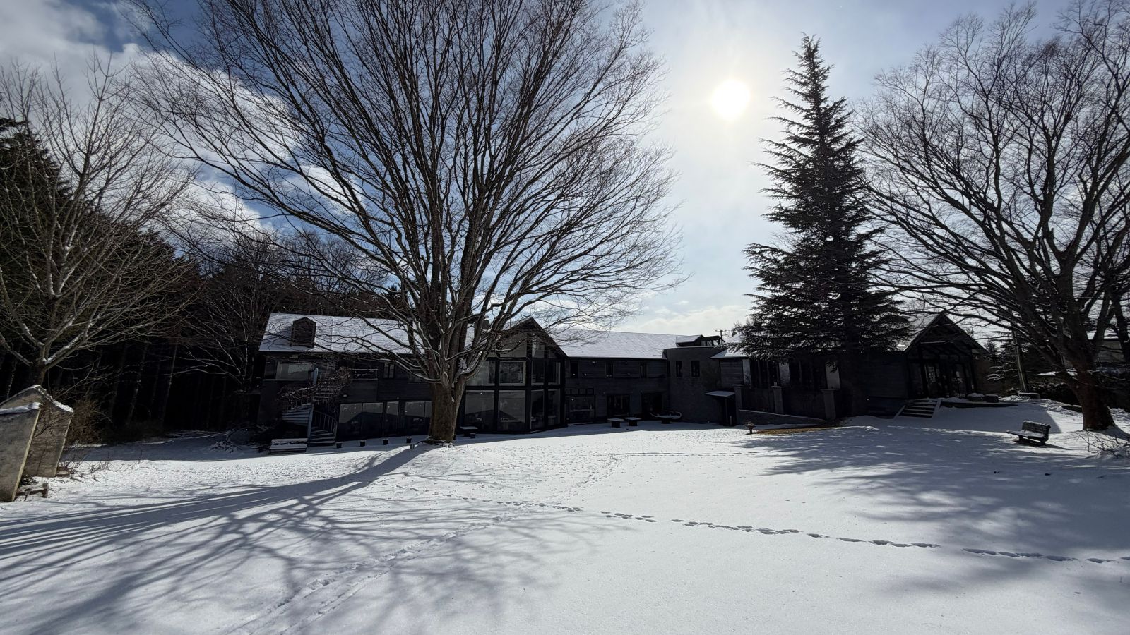 雪景色に包まれる冬の中庭