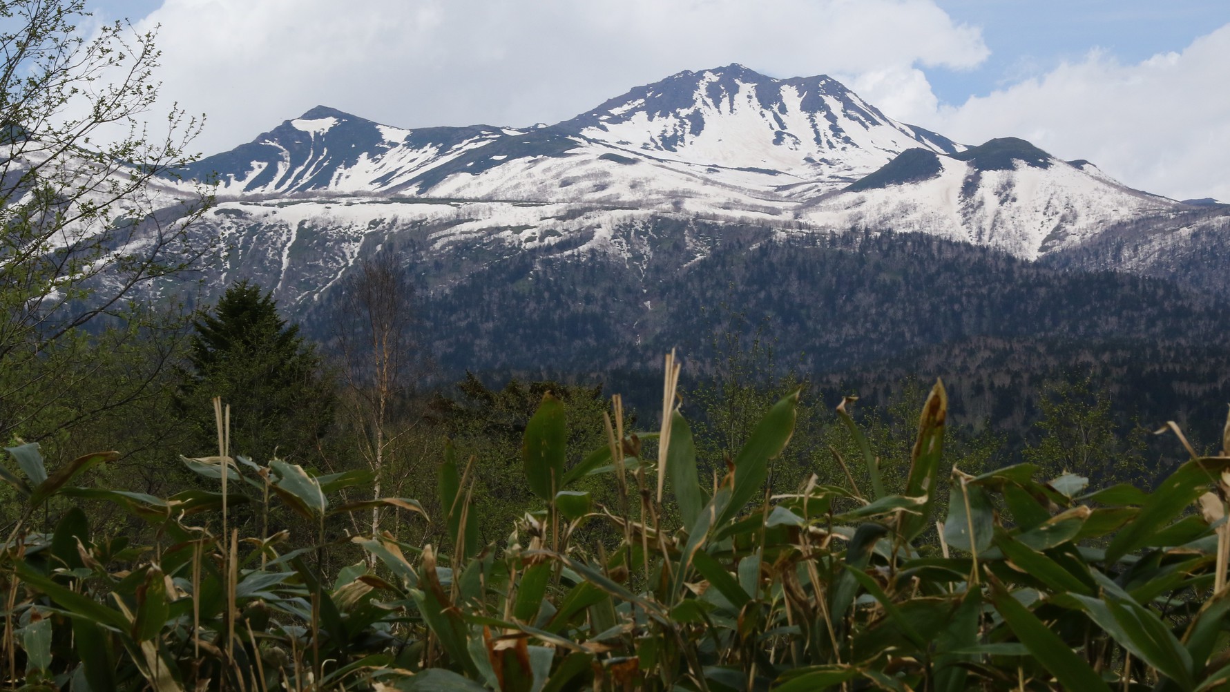 憧れのトムラウシ山登山の拠点におすすめ！トムラウシ登山プラン【相部屋】≪オンラインカード決済≫