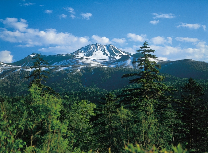 望岳台よりのトムラウシ山