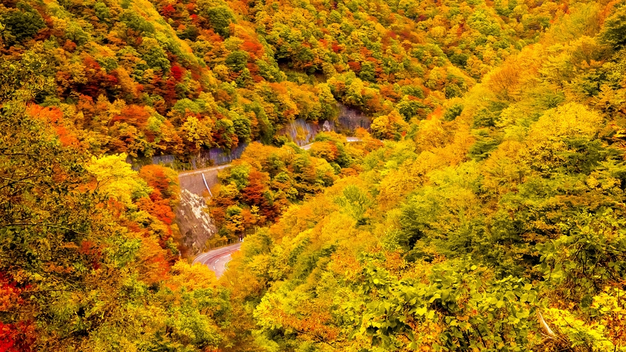 秋の仙人峠