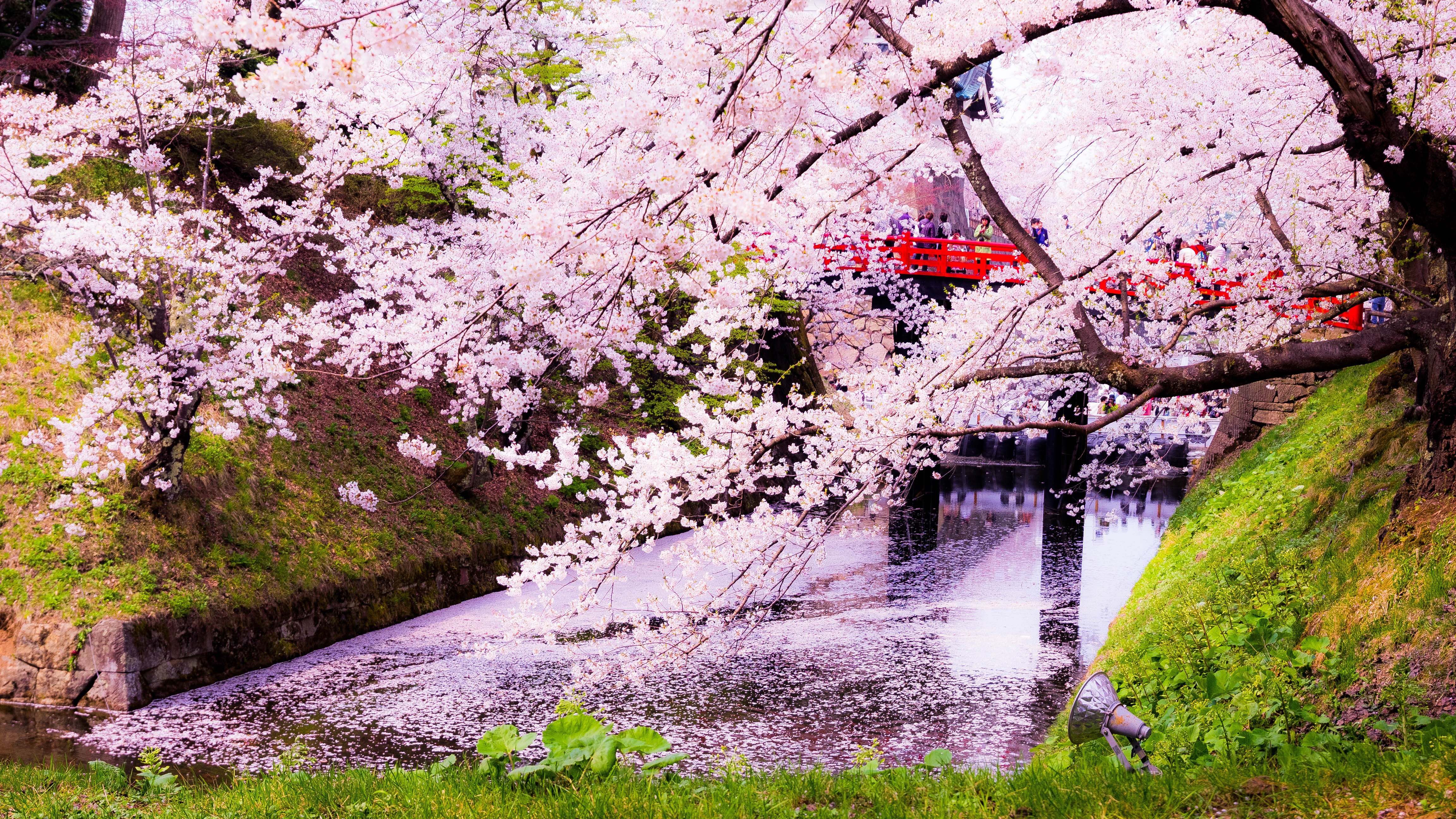 2,600本の桜が咲く名所、青森『弘前城公園』