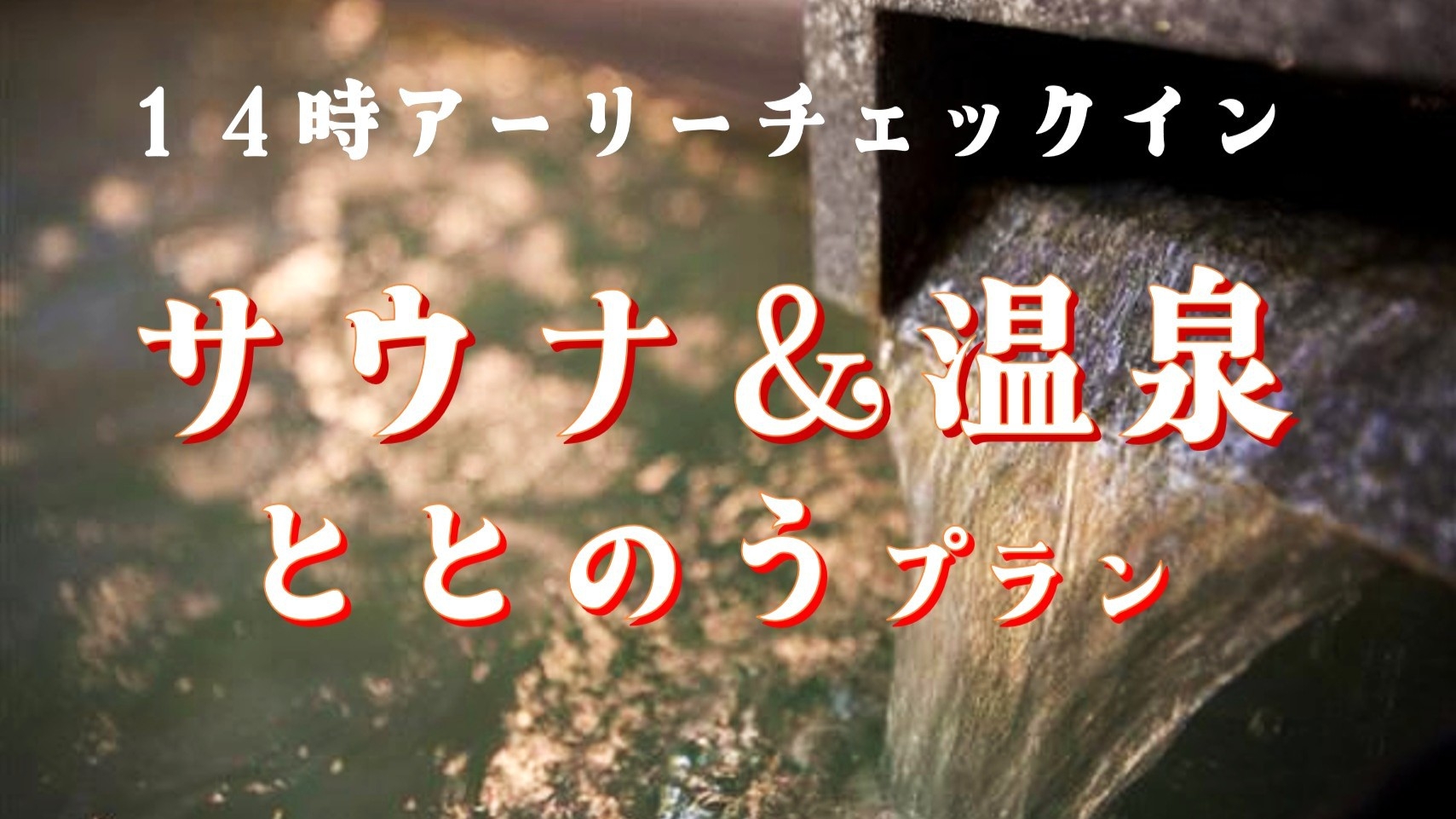 【サウナイキタイ】☆【女性専用】14時チェックインで温泉満喫！素泊まり★天然温泉でととのう☆