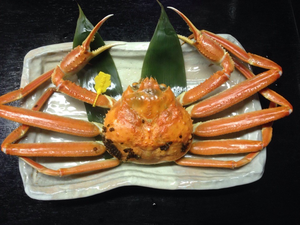 越前ガニ　テンポ