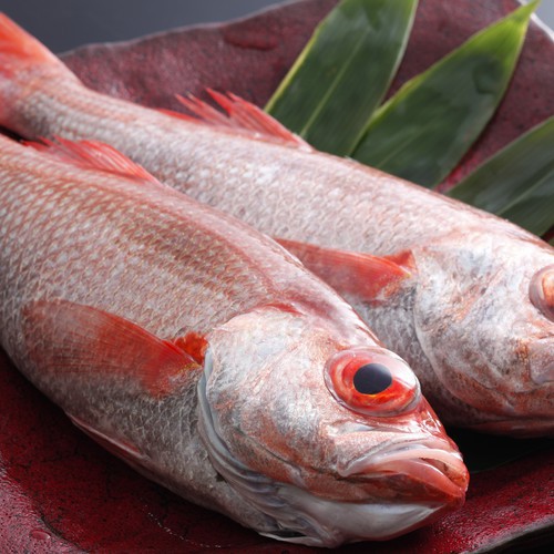 【秋】幻の高級魚”のどぐろ”を使用！シェフの想いが詰まったピオネスタイルで味わう！