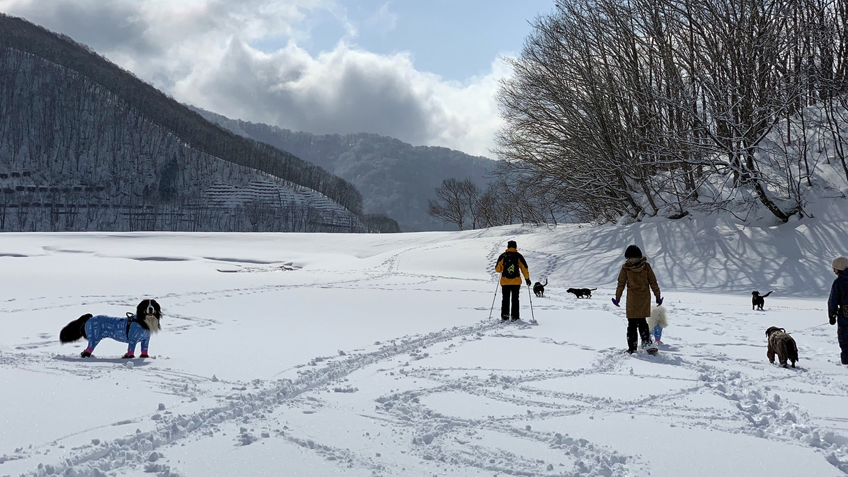 ＼冬旅／わんちゃんと一緒に！スキー＆雪あそびで冬満喫♪わんちゃん1頭無料の嬉しい特典付