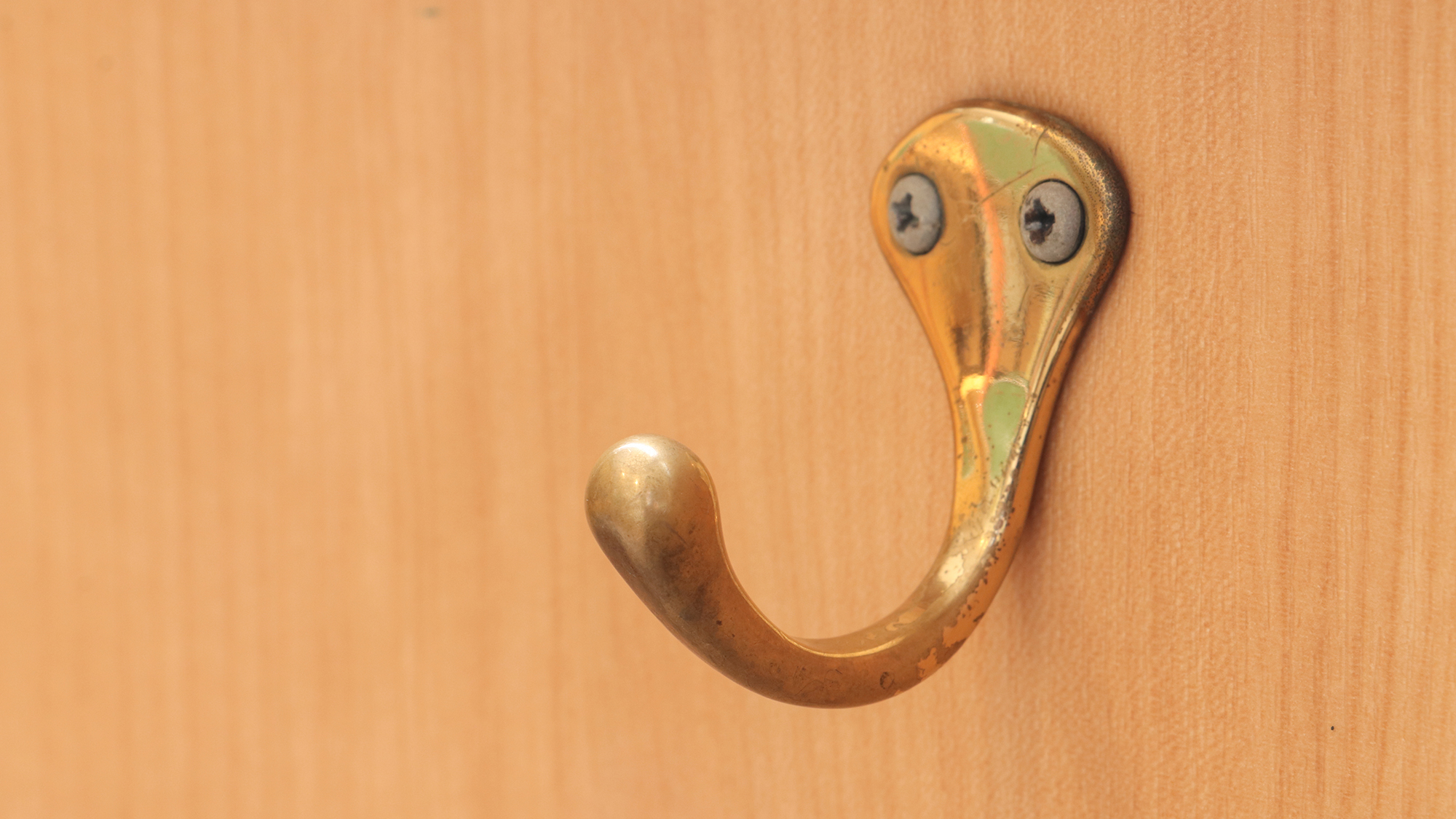 #愛犬用のリードフック