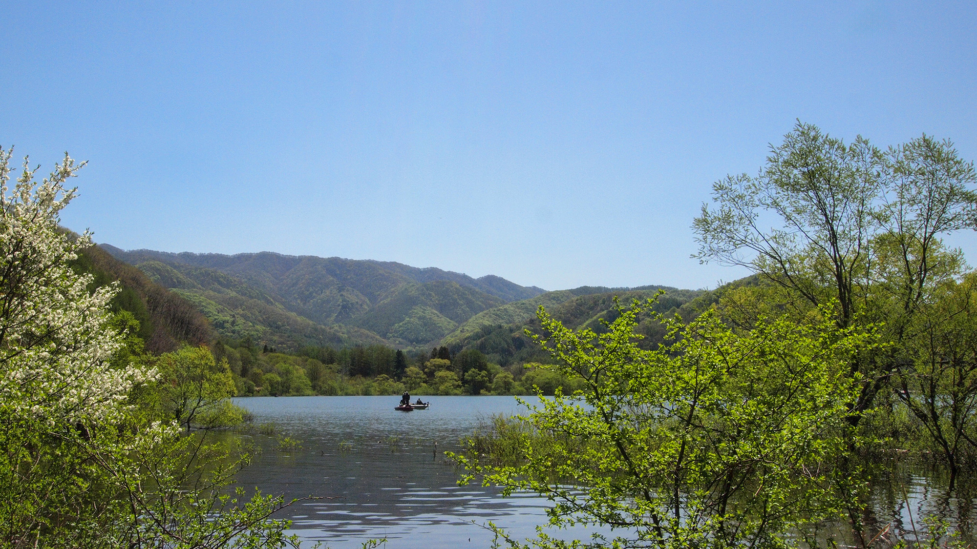 #周辺　小道を抜けると目の前には桧原湖が広がります