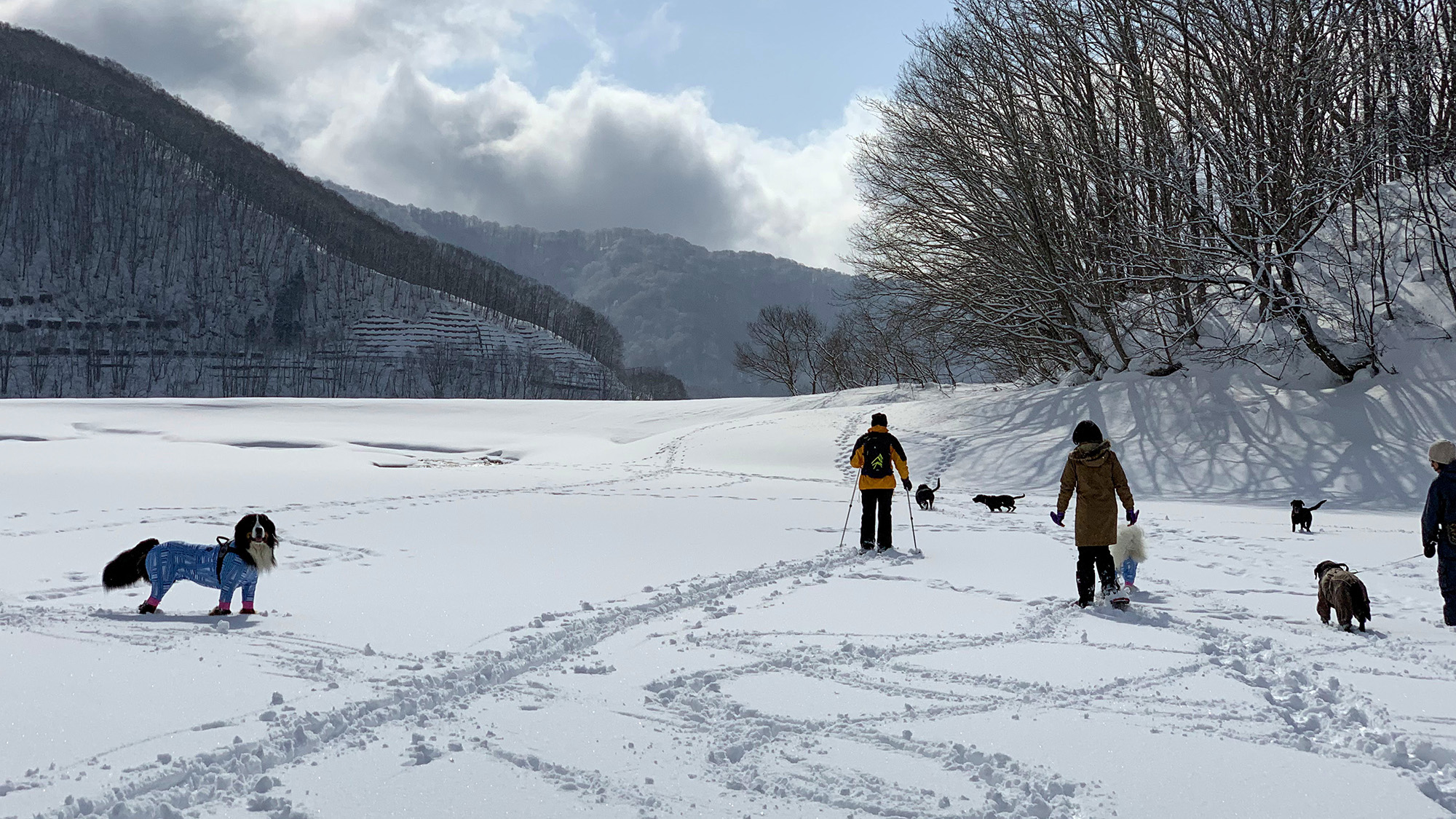 #スノーシュー体験