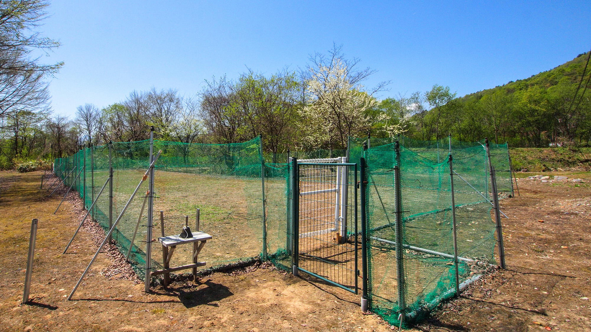 #ドッグラン　大自然の中で思いっきり遊ぼう