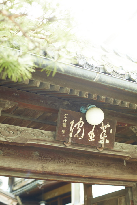 gate