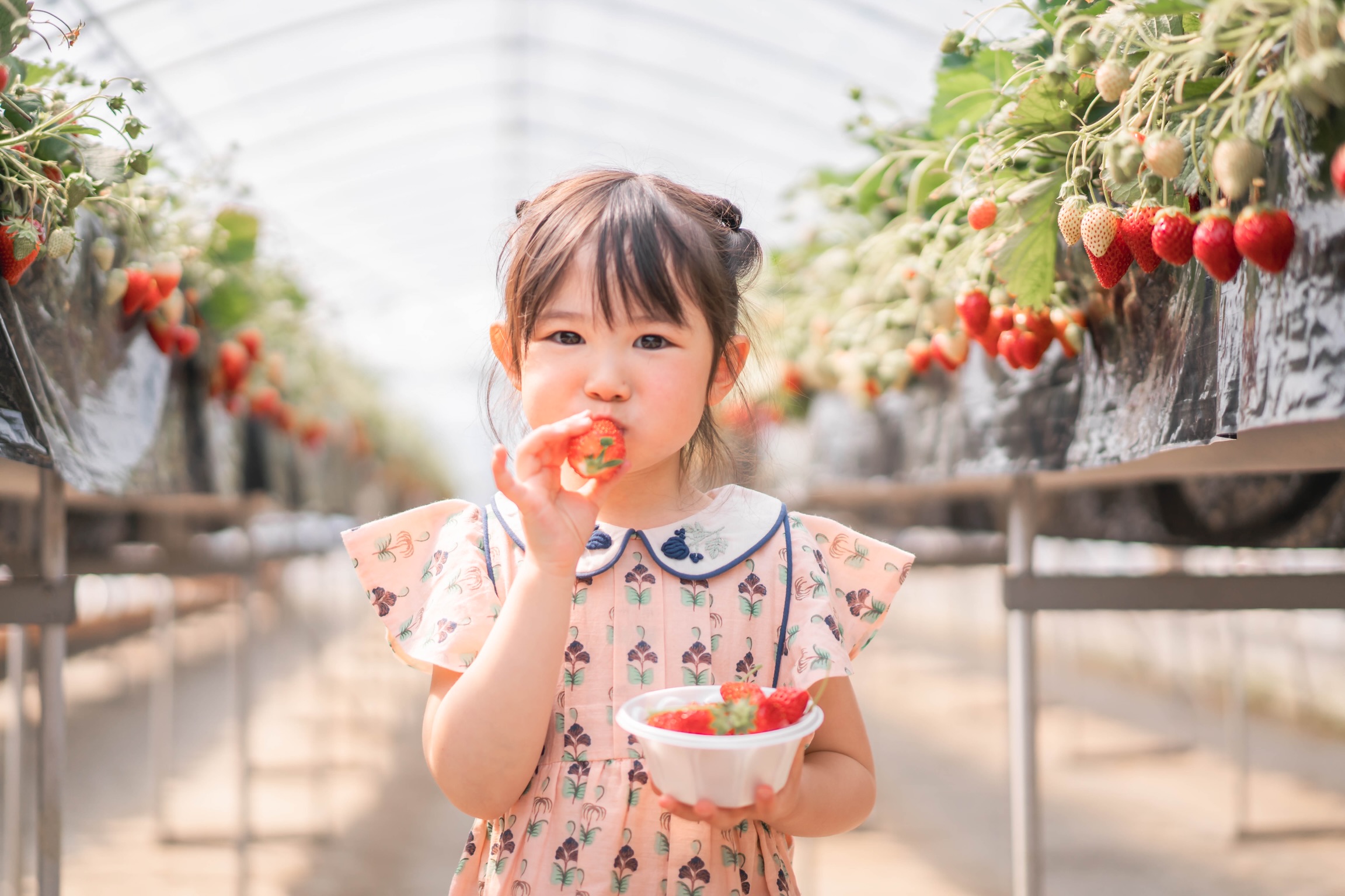 隣接「あぐりっ娘」でのいちご狩り