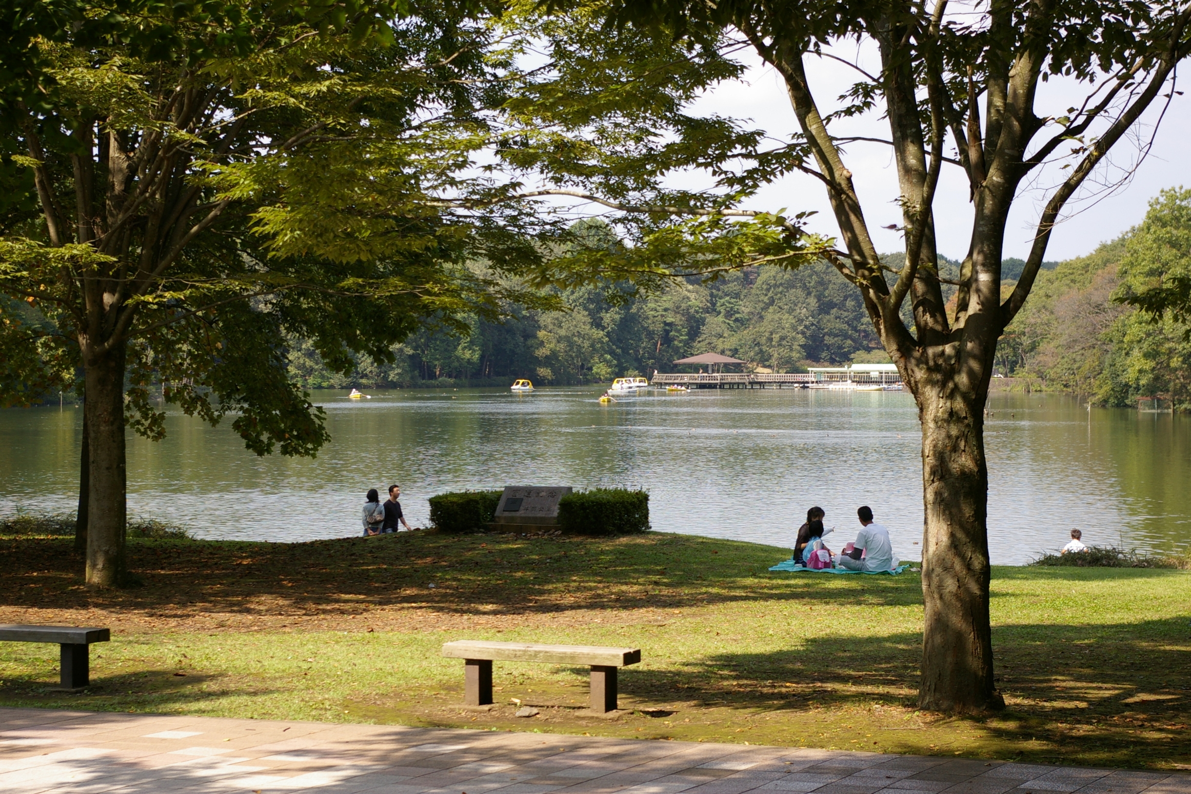 井頭温泉チャットパレス 写真 動画 楽天トラベル 井頭温泉チャットパレス 写真 動画 楽天トラベル