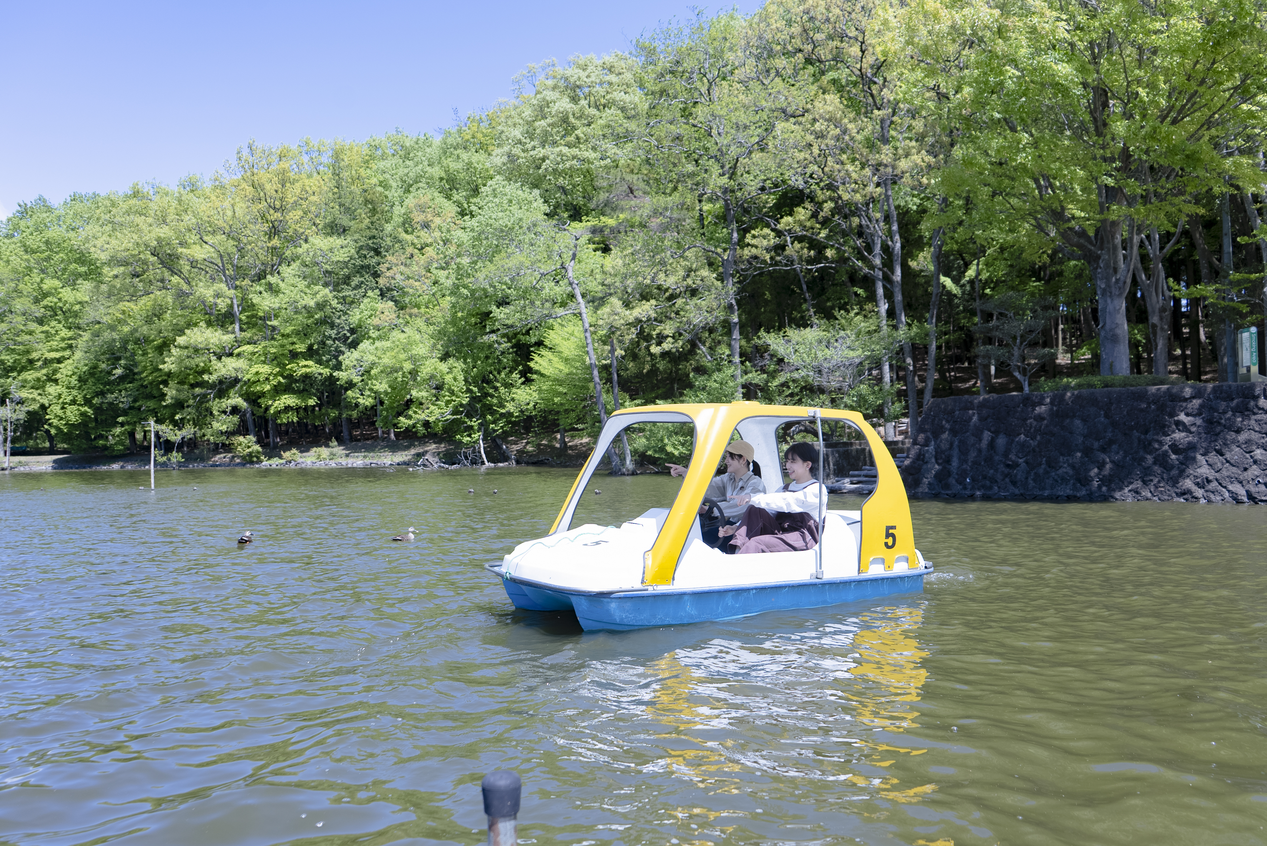 井頭公園　足漕ぎボート