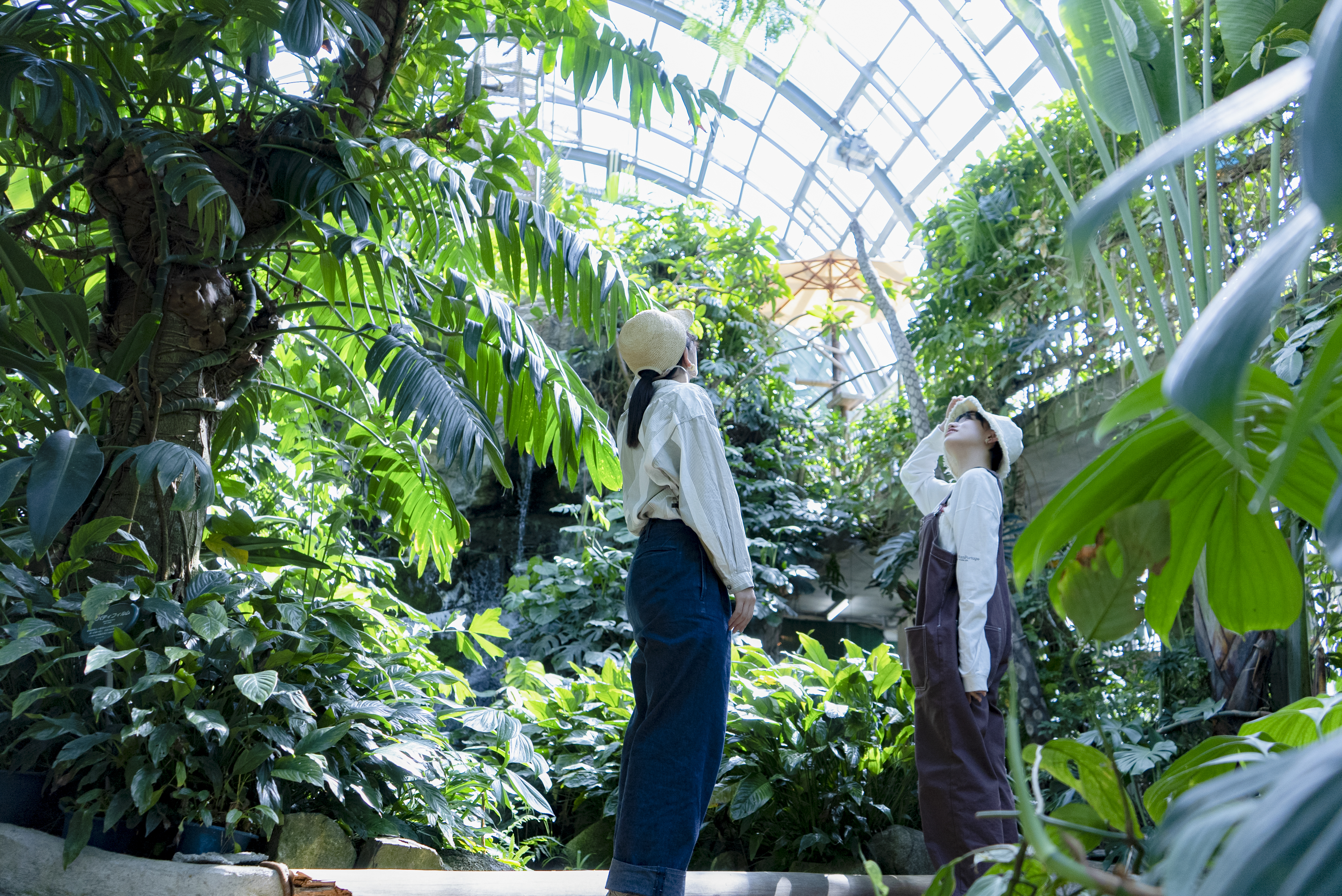 井頭公園　花ちょう遊館