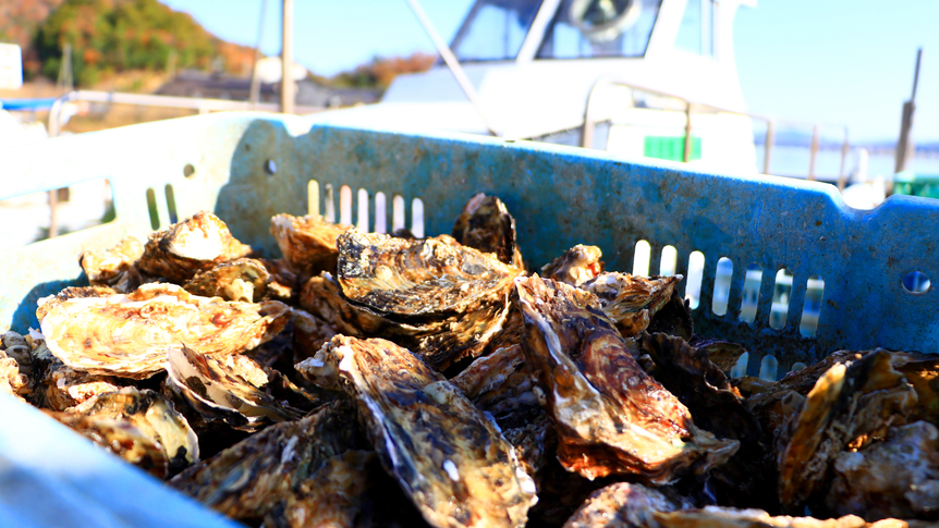【平日限定！冬の海鮮会席】久美浜湾の冬の味覚×自家養殖・牡蠣を堪能♪〈１泊２食付き〉