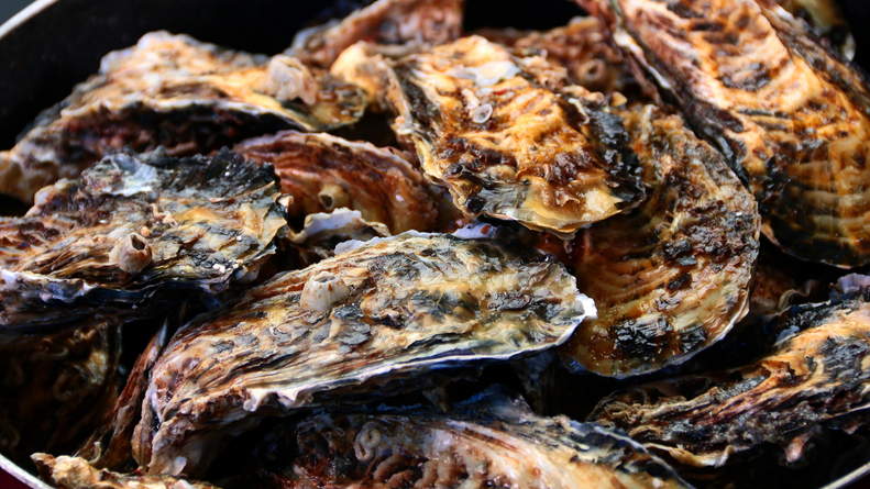 【牡蠣フルコース★2食付】当館自慢の獲れたて新鮮養殖カキを味わい尽くす！