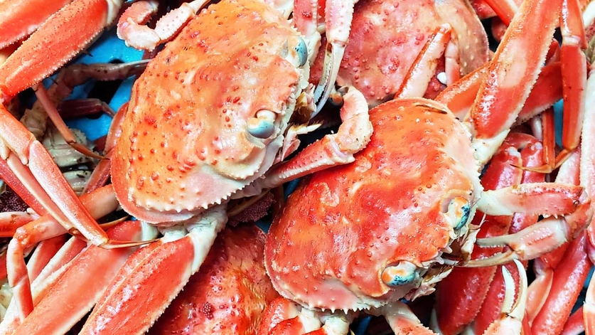 【直割★お一人様550円引き！】冬季限定！早い者勝ち！蟹スタンダード１泊２食付き