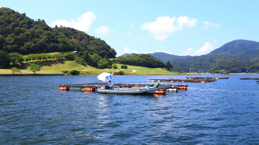 【西中渡船】牡蠣の筏(イカダ)にボートを付けたカセ釣りも楽しめます！