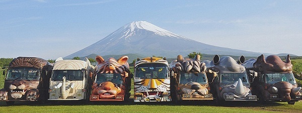 [Fuji Safari Park] 30 minutes by car from the hotel