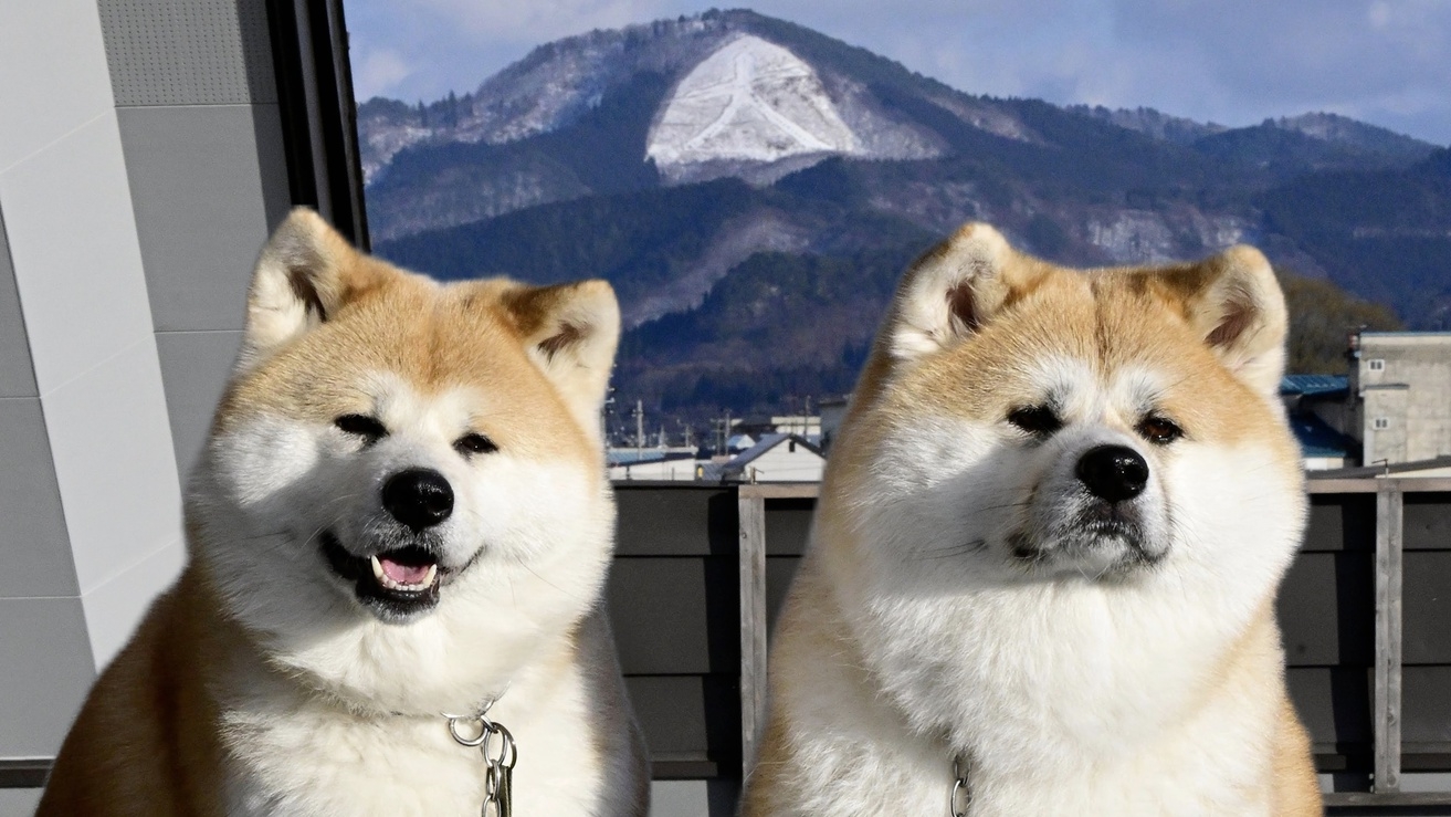 【グレードアップ】「比内地鶏」のだし汁んっめ〜ぇ！！＜きりたんぽ鍋御膳＞