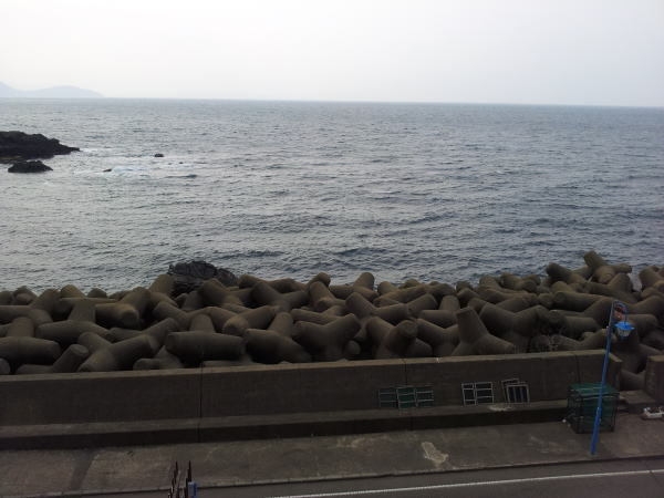 【お得♪】タグにこだわらない蟹フルコース＆海鮮舟盛り＆★温泉チケット付き（夕食はお部屋食）
