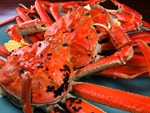 10. Echizen Snow Crab