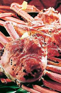 Taste of Echizen Sea, Japan - Brand Echizen Crab with tag