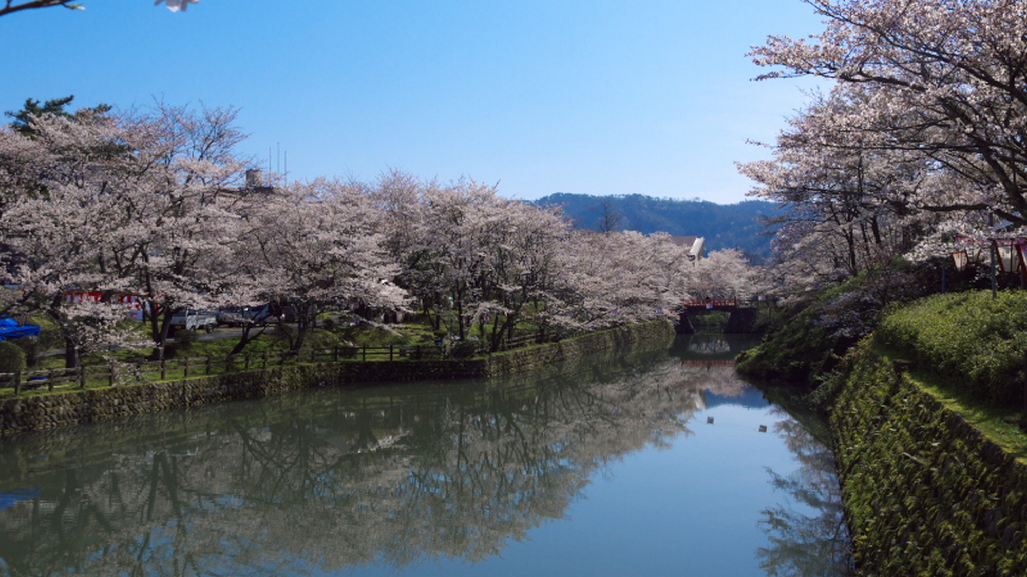【鹿野城跡公園】山紫苑より車で6分、鹿野城主亀井茲矩公の居城跡公園は桜の名所として有名です。